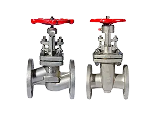 globe valve