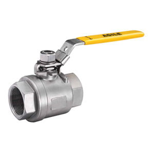 Quick Coupling Valve